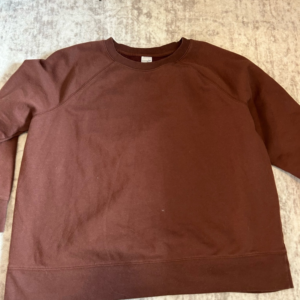 Terra & Sky Women's Brown Crew Neck Sweater
